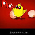 小鸡哔哔