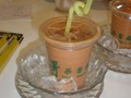 表哥招牌奶茶