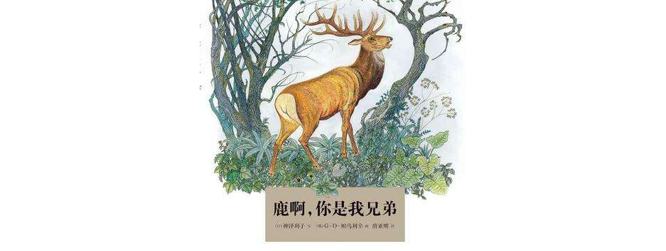 鹿啊，你是我兄弟