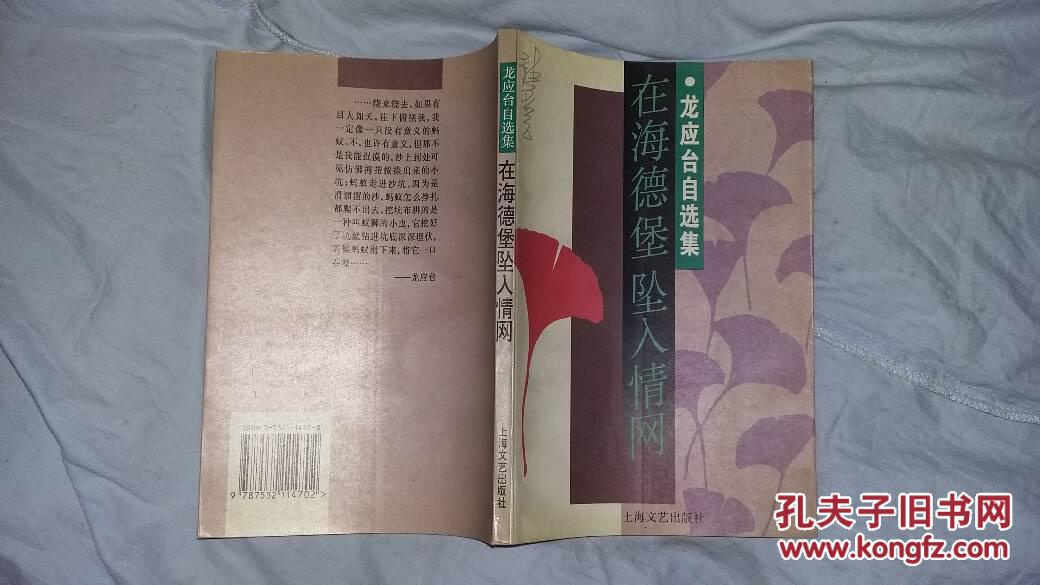 在海德堡坠入情网（龙应台自选集）