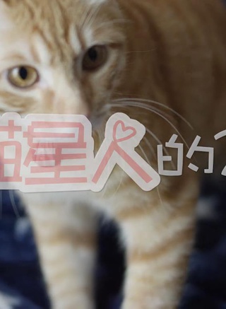 黄其淋
