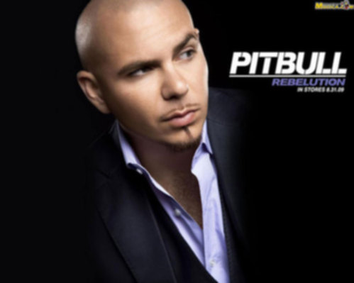 Pitbull Pitbull