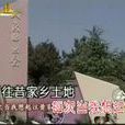 忘不了你(王莹演唱美声歌曲)
