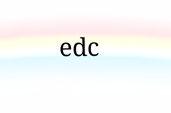 edc(差错检测和纠错比特)