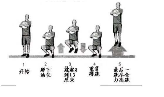 蹲跳 蹲跳