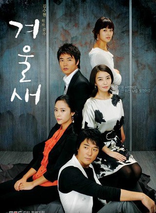 朴元淑 朴元淑