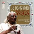 艾扬格瑜伽
