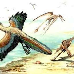 史前生物 史前生物