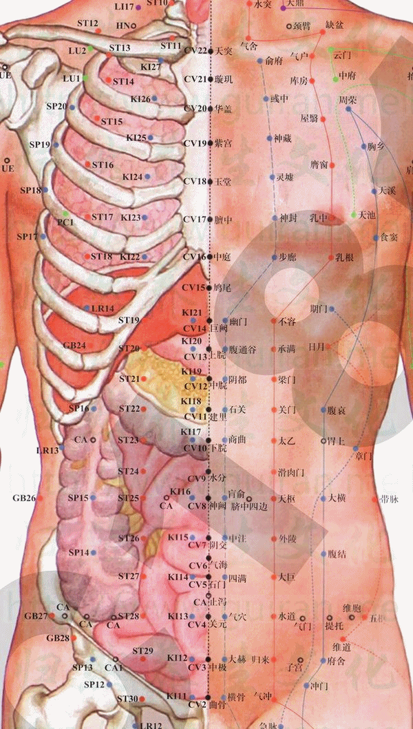 巨阙穴 巨阙穴