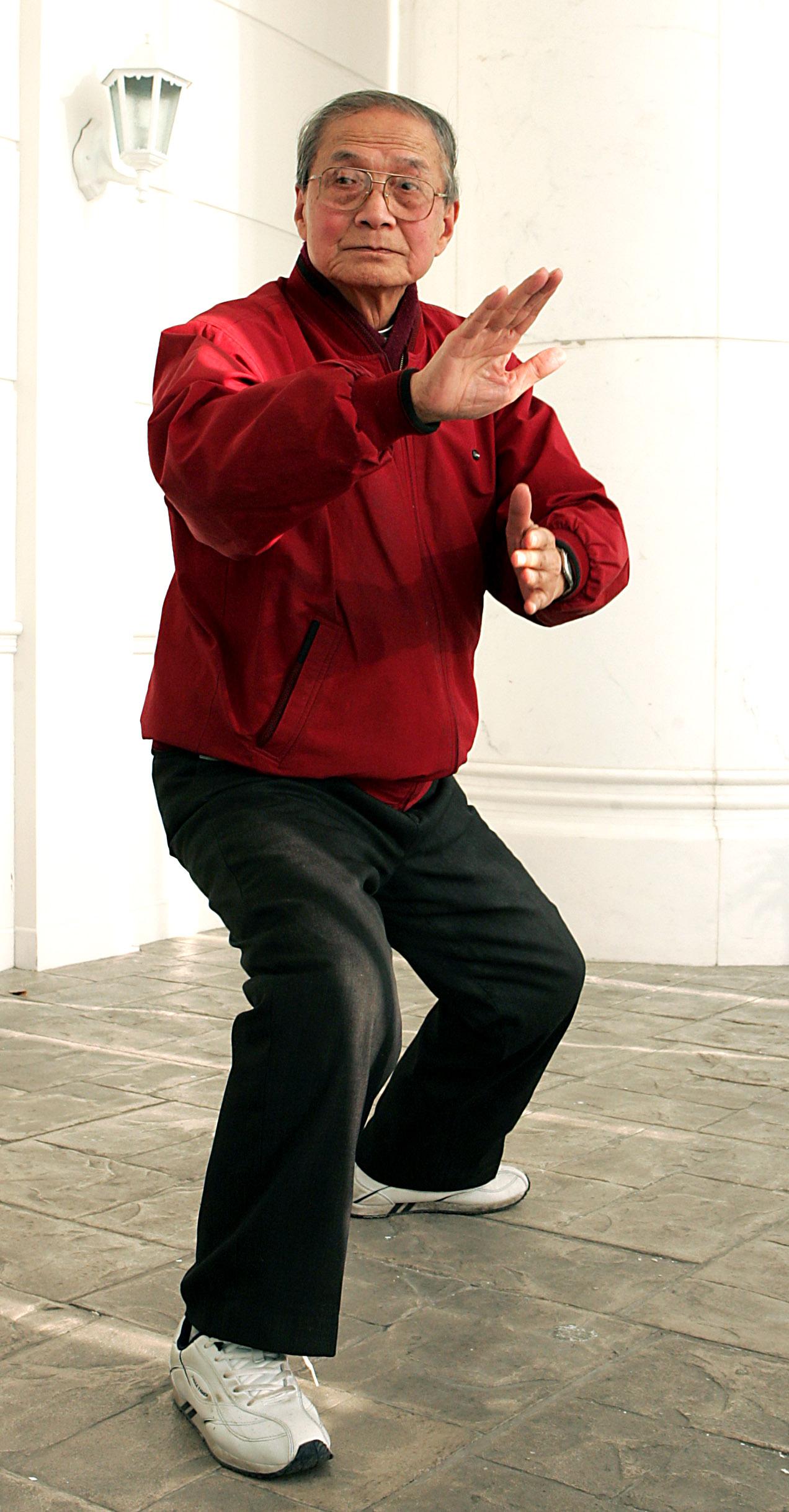 心意六合拳 心意六合拳