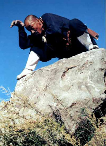 象形拳 象形拳
