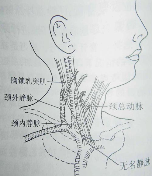 中心静脉压测定 中心静脉压测定