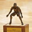 美国职业篮球联赛年度最佳防守球员奖(NBA年度最佳防守球员)
