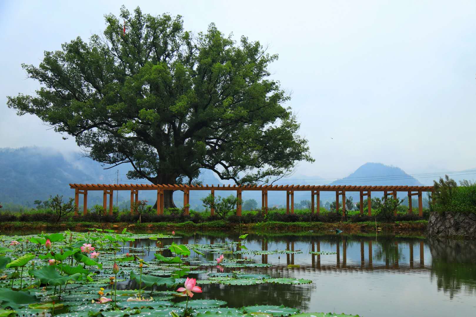 双庙乡(浙江省仙居县双庙乡) 双庙乡(浙江省仙居县双庙乡)