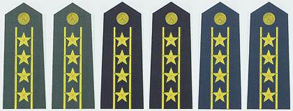 陆海空军大校常服肩章(2007—) 陆海空军大校常服肩章(2007—)