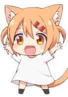 猫咪日常