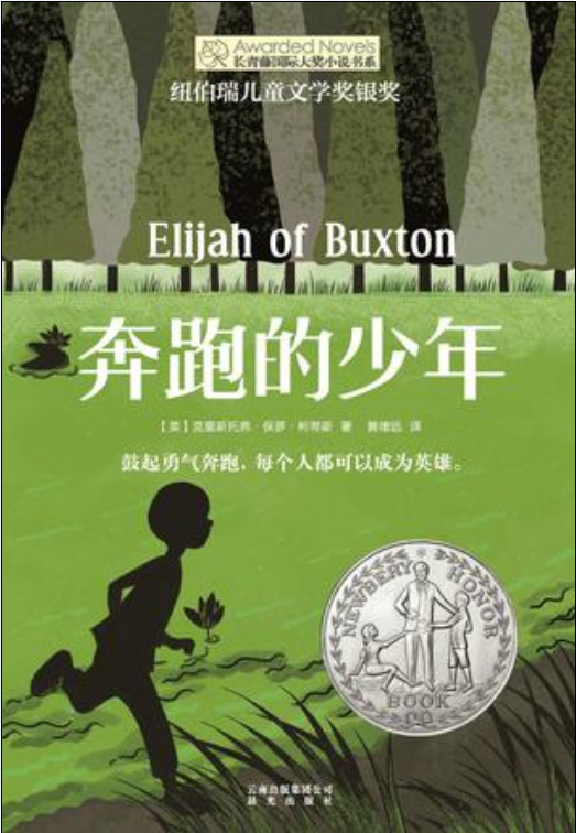 奔跑的少年([美]克里斯托弗·保罗·柯蒂斯所着书籍)