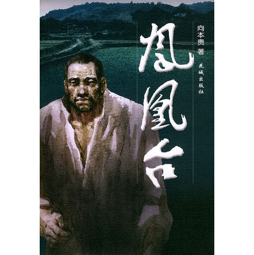 向本贵着作《凤凰台》封面 向本贵着作《凤凰台》封面