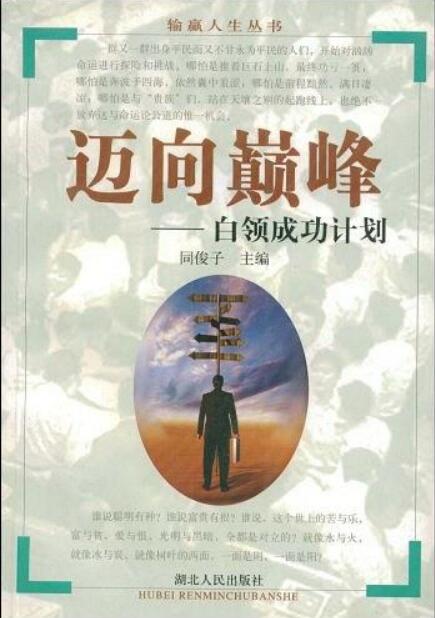 迈向巅峰(湖北人民出版社出版书籍)
