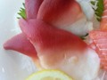北极贝