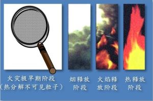 火灾生命期 火灾生命期