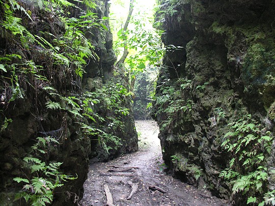大岗山盘龙峡谷