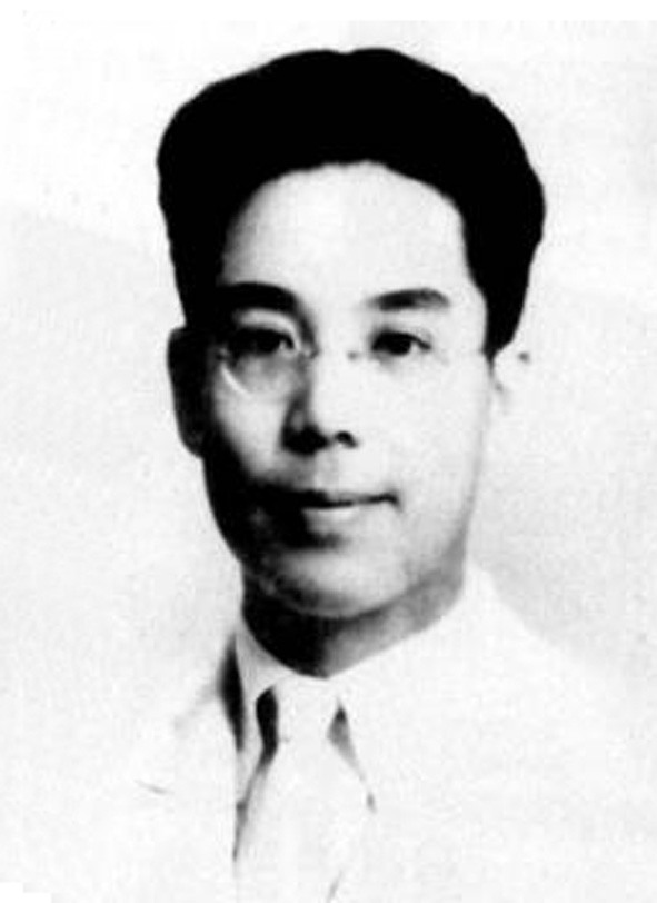 张沖(张淮南)