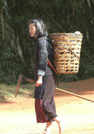 太阳照常升起(2007年姜文执导电影)