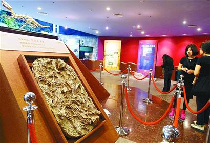 上海生物进化科普展 上海生物进化科普展