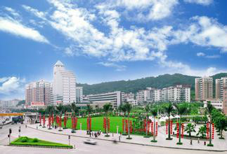 凤岗镇(广东省东莞市凤岗镇) 凤岗镇(广东省东莞市凤岗镇)