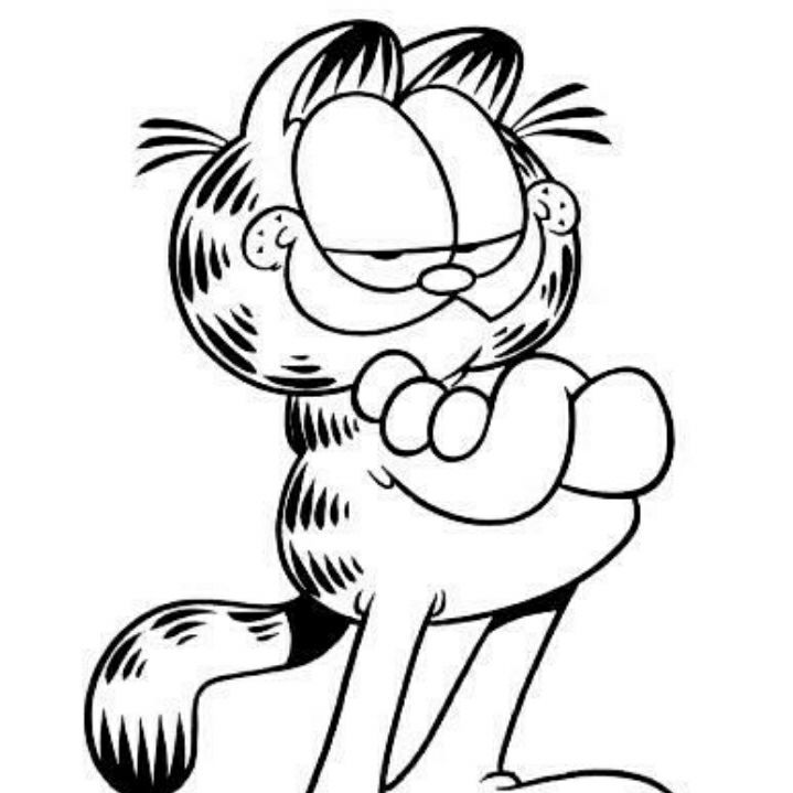 加菲猫 加菲猫