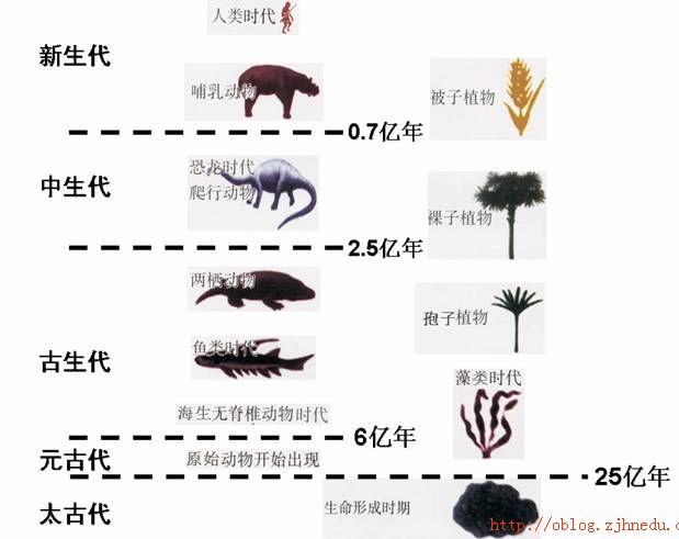 生物进化的一般序列 生物进化的一般序列