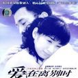 爱，在离别时(爱在离别时（2005年黄奕、车仁表主演的电视剧）)