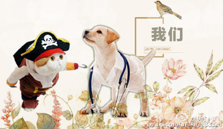 小胖和小七 小胖和小七