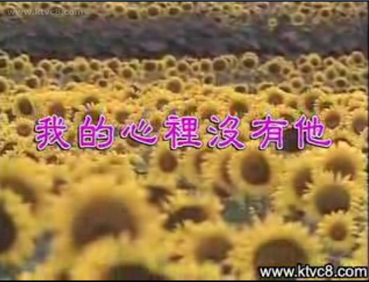 我的心里没有他 我的心里没有他