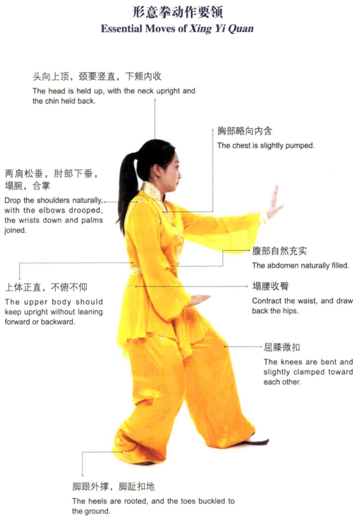 形意拳动作要领 形意拳动作要领