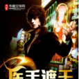 医手遮天(鲟鱼创作的网路小说)