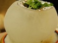 冰球跳跳虾