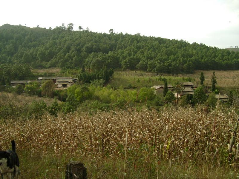 村庄全貌 村庄全貌