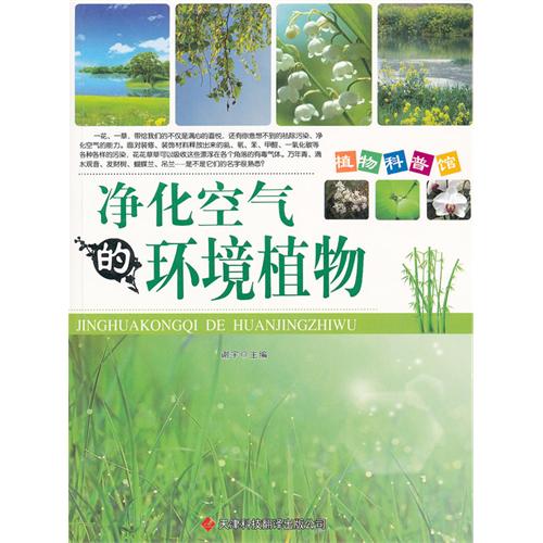 净化空气的环境植物