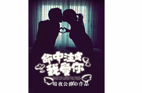 命中注定我爱你(暗夜公爵所着都市生活小说)