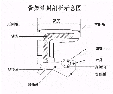 骨架油封结构剖析示意图 骨架油封结构剖析示意图