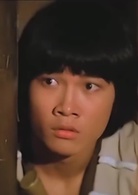 飞狐外传(1980年香港邵氏钱小豪主演版电影)