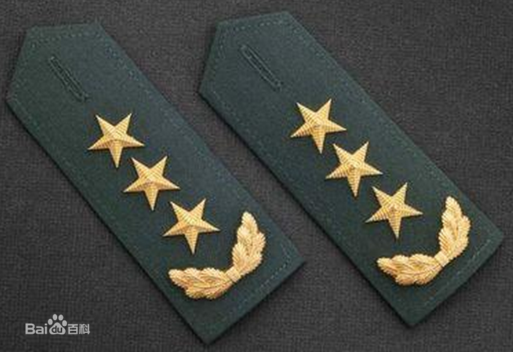 陆军上将
