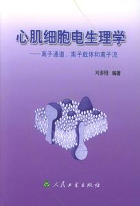 心肌细胞 心肌细胞