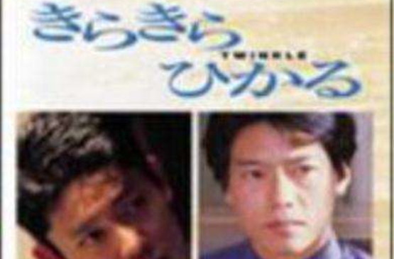 星闪闪(日本1993年松冈锭司执导电影)