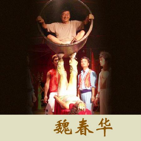 魏春华 魏春华
