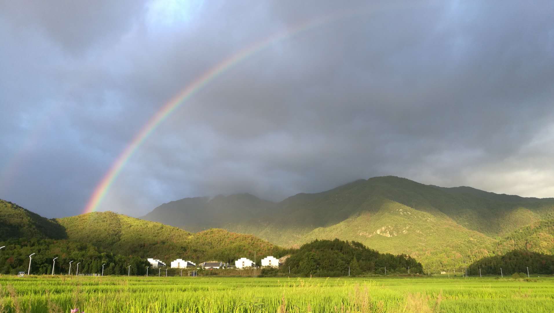 双庙乡(浙江省仙居县双庙乡) 双庙乡(浙江省仙居县双庙乡)