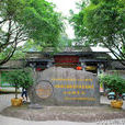 大榕树风景区