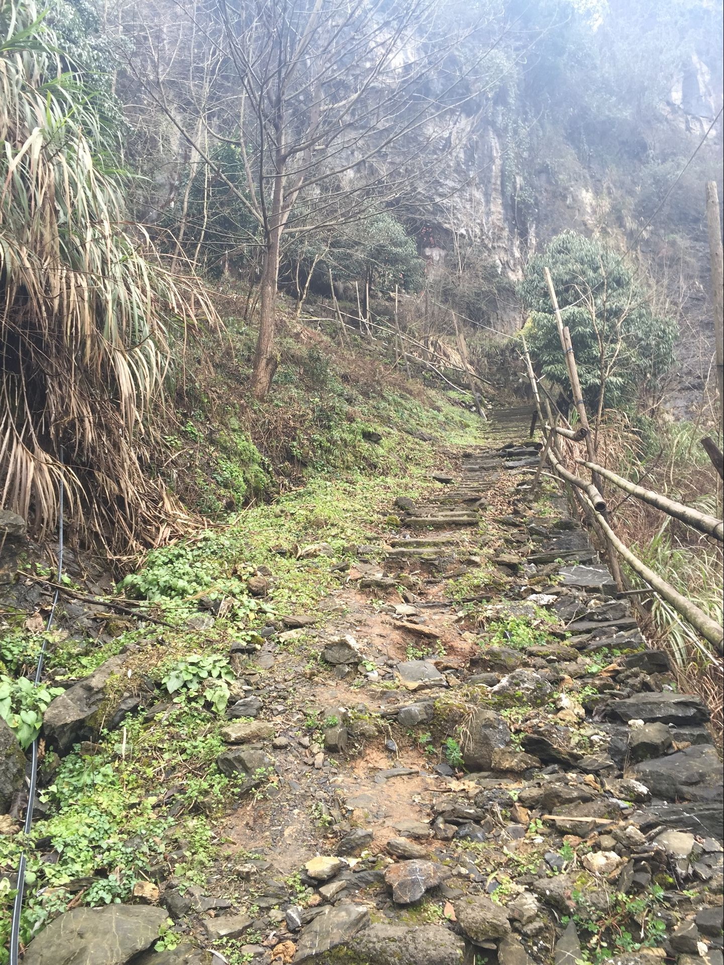 富阳灵隐寺 富阳灵隐寺
